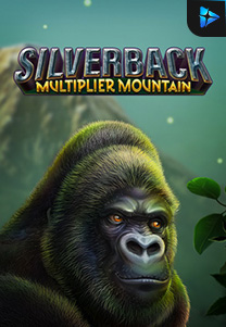 Silverback Multiplier Mountain foto